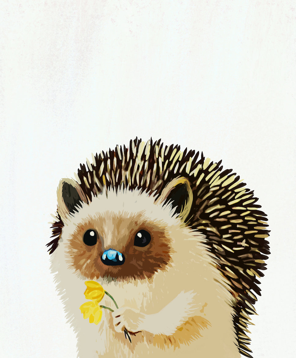 Hedgehog