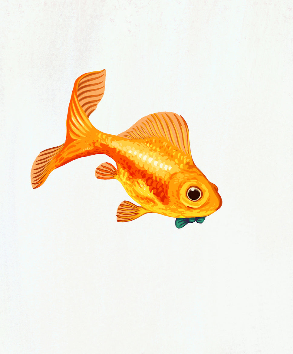 Goldfish