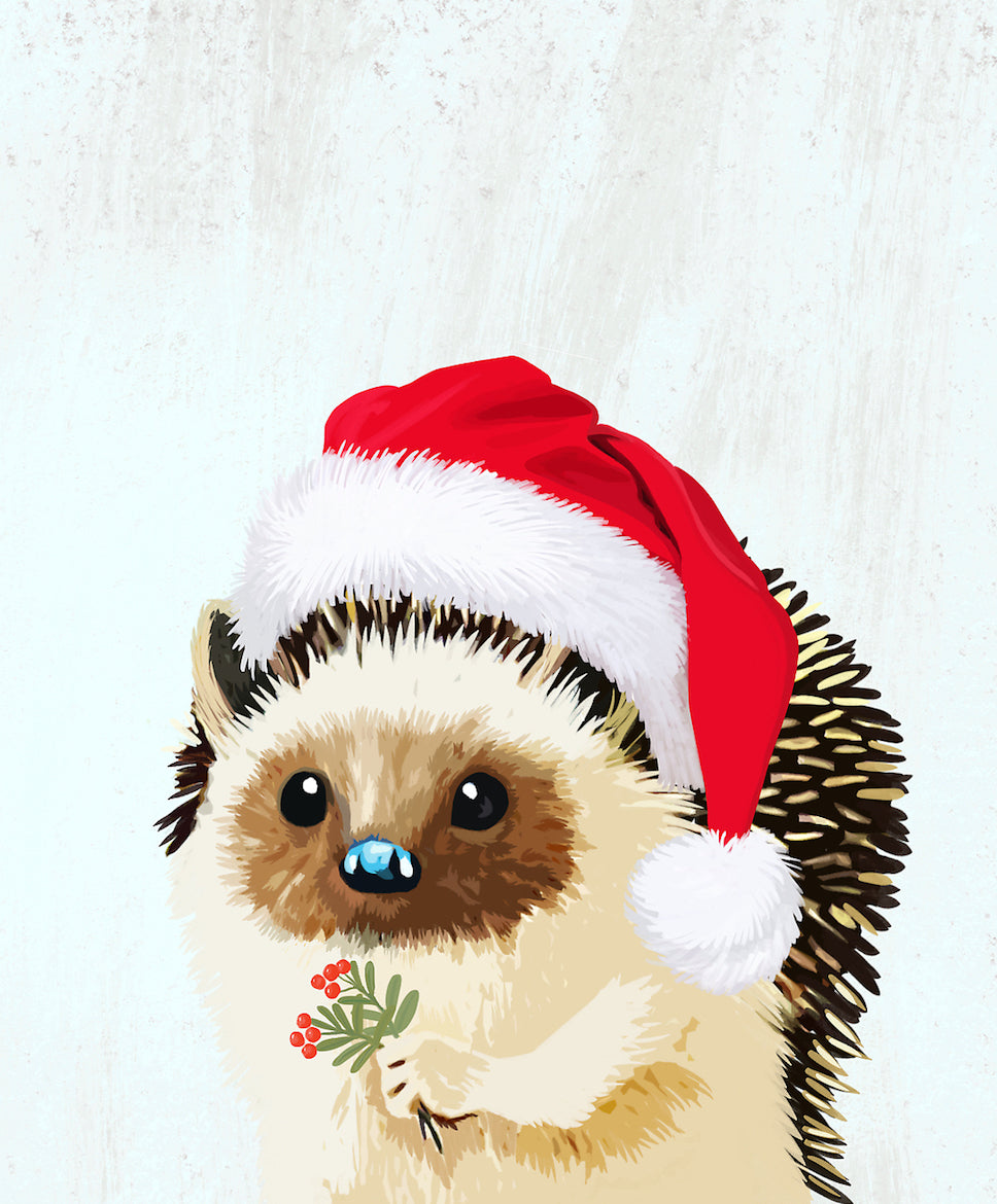 Hedgehog Holiday